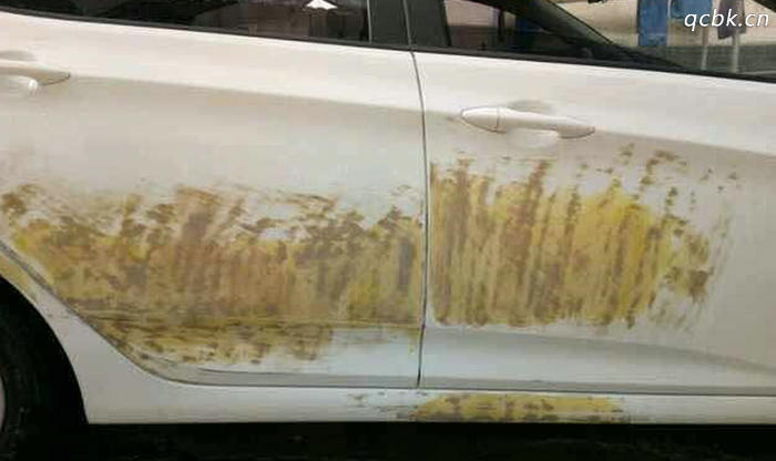 白色車漆發黃最有效處理方法