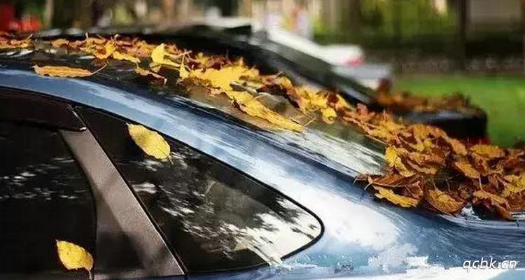 樹油滴在車上對車漆有什么影響